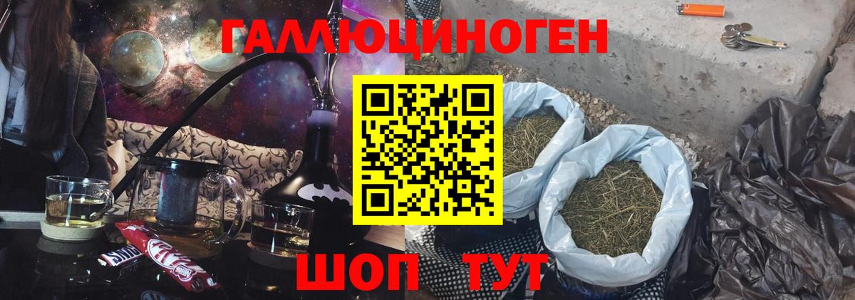 Галлюциногенные грибы Psilocybe Комсомольск-на-Амуре